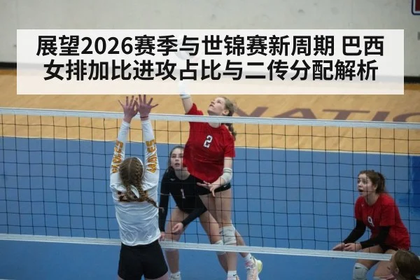 展望2026赛季与世锦赛新周期 巴西女排加比进攻占比与二传分配解析