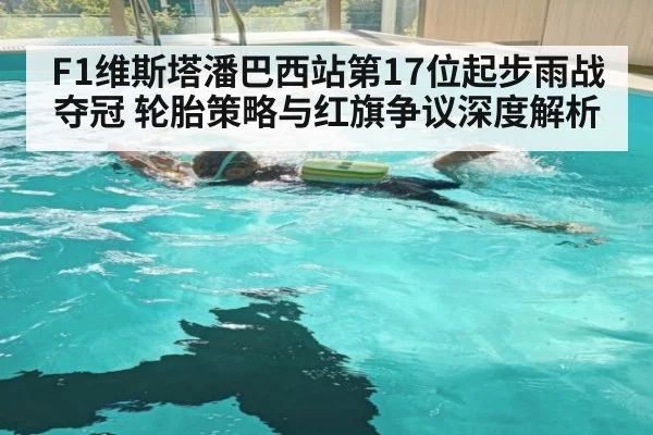 F1维斯塔潘巴西站第17位起步雨战夺冠 轮胎策略与红旗争议深度解析